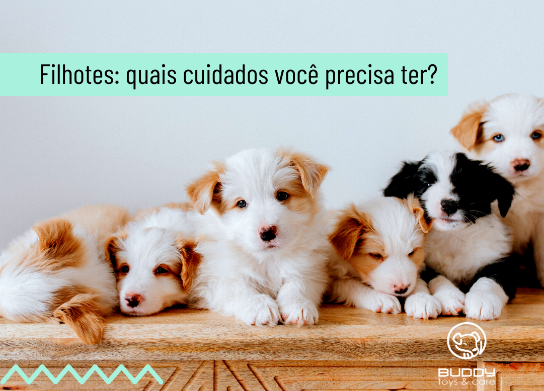 Por que achamos FILHOTES fofinhos? #filhotes #animais #pet #curiosidad