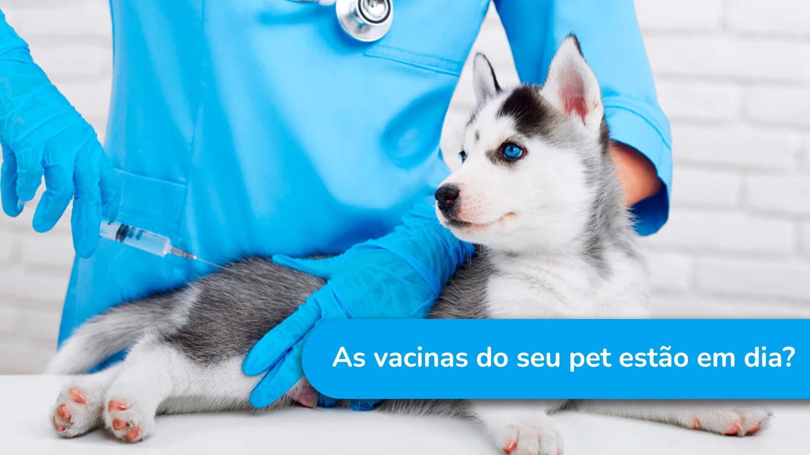 As vacinas do seu pet estão dia?