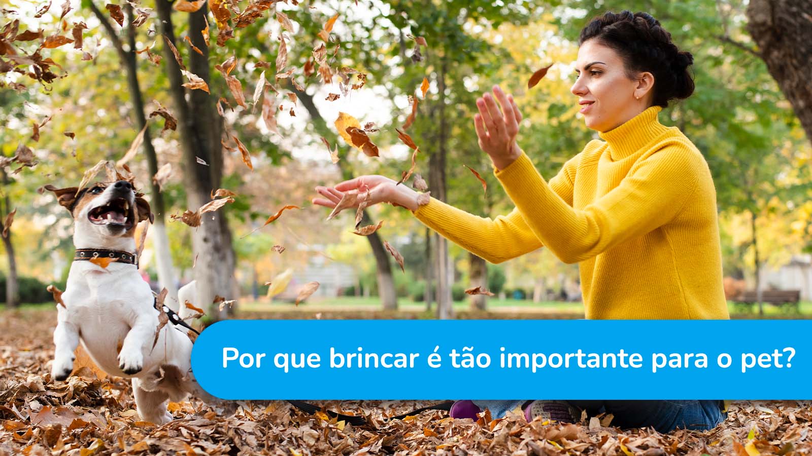 Por que brincar é tão importante para o pet?
