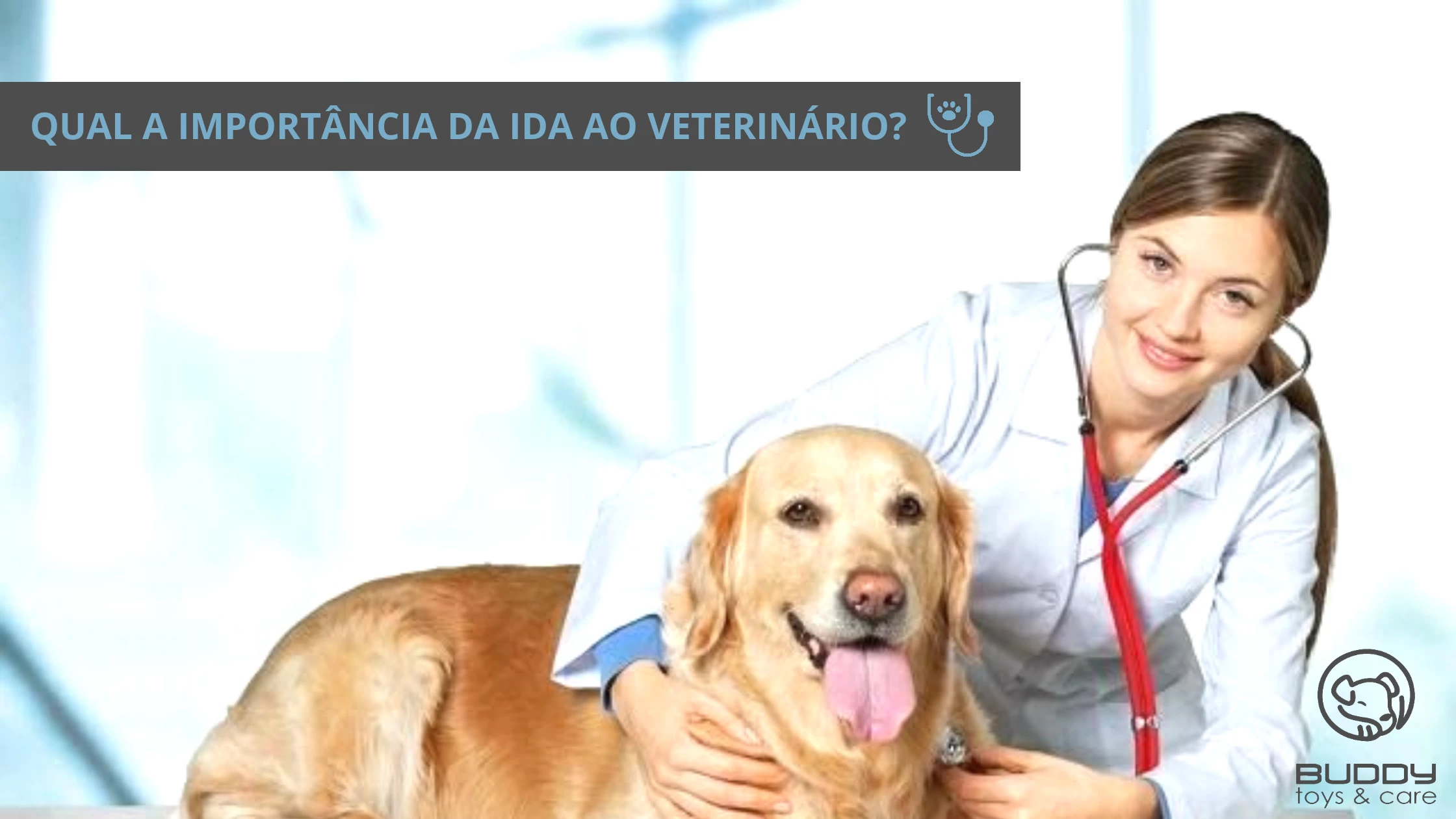 importância da ida ao veterinário 