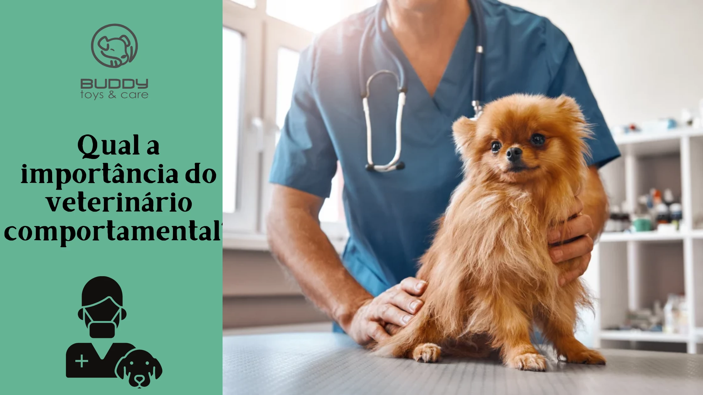 Qual a importância do vet comportamental?