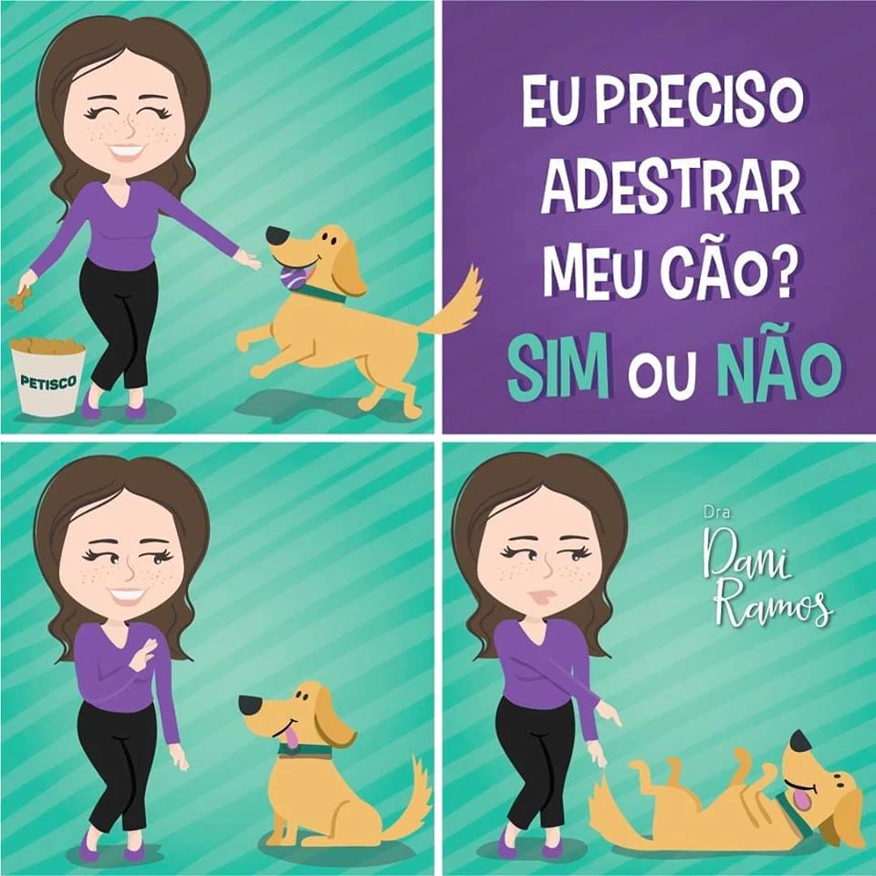 Eu preciso adestrar o meu cão?