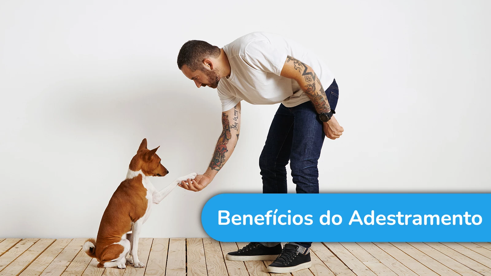 Quais os benefícios do adestramento?