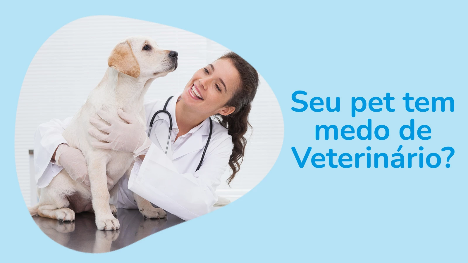 Seu pet tem medo de veterinário?
