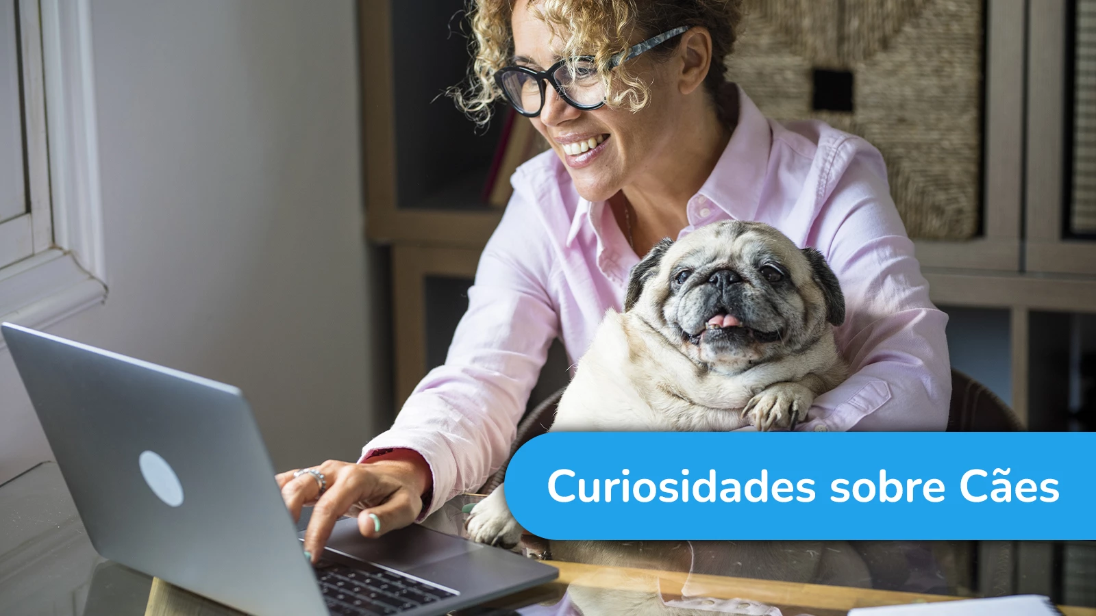 5 curiosidades sobre cães