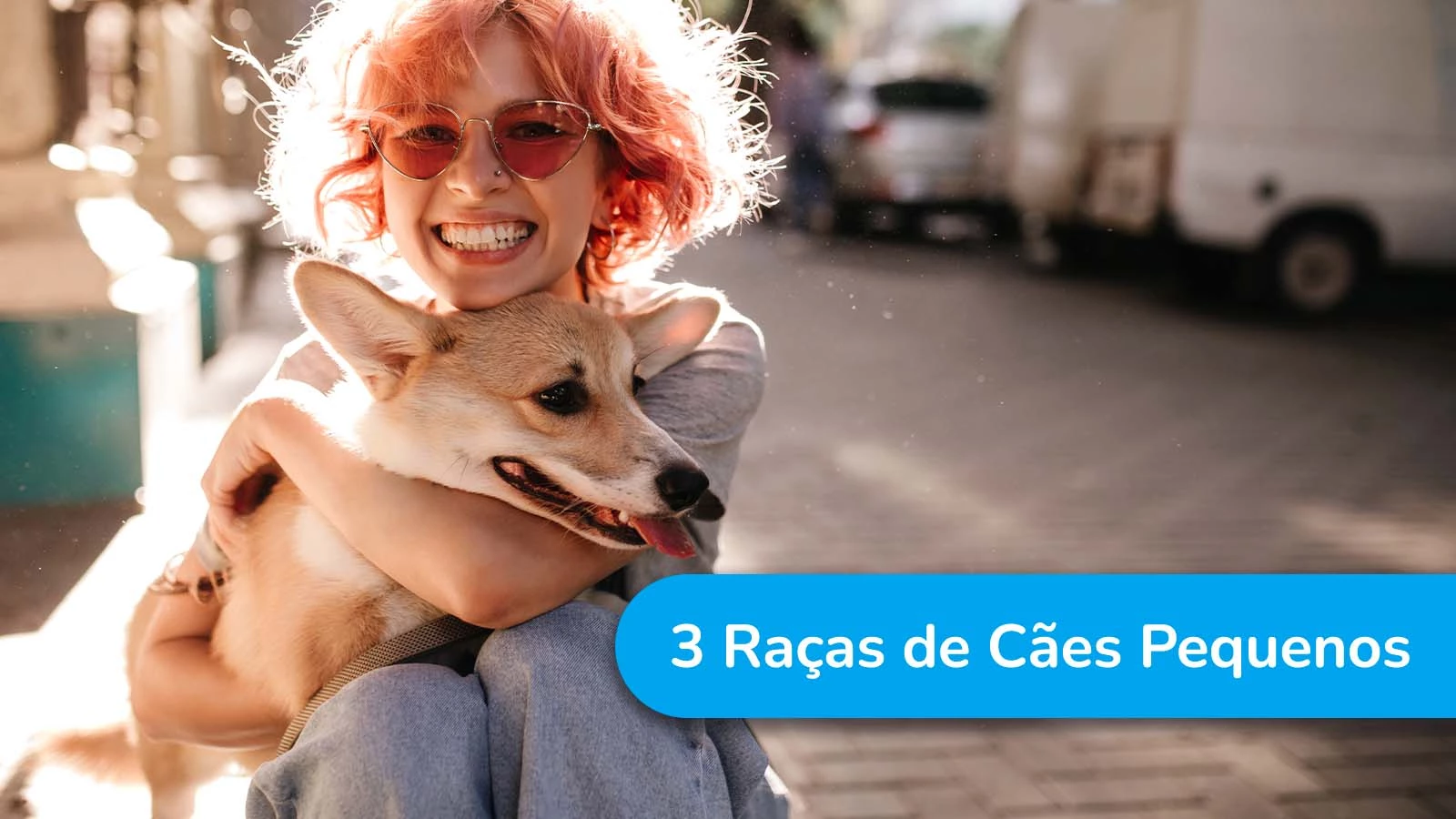 3 raças de cães pequenos