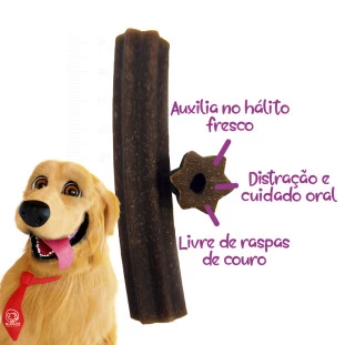 petisco dental