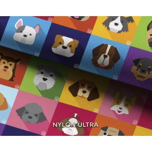 Cama elevada para cães Buddy