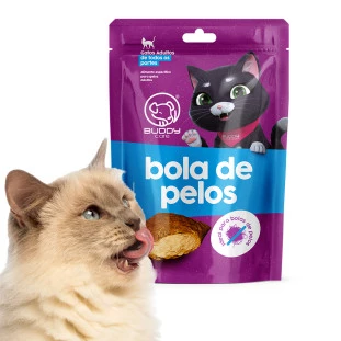 PETISCO GATINHO