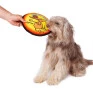 BRINQUEDO FRISBEE DE TECIDO PARA CÃES BUDDY TOYS cão 4