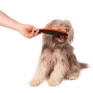 BRINQUEDO FRISBEE DE TECIDO PARA CÃES BUDDY TOYS cão 5 