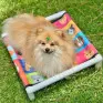 Cama Buddy Light Pequena estampa Cães