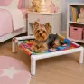 Cama Buddy Light Pequena estampa Cães