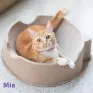 Cat Place