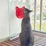 Comedouro lento e tapete de lamber  Lambe Gatos Buddy Toys 