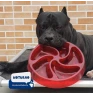 comedouro lento cães buddy toys