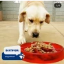 comedouro lento cães buddy toys