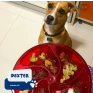 comedouro lento cães buddy toys