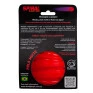 Spiral Bola - Buddy Flex - muito mais que uma simples bolinha
