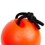 Titanzinha Super Bola para cães Buddy Toys